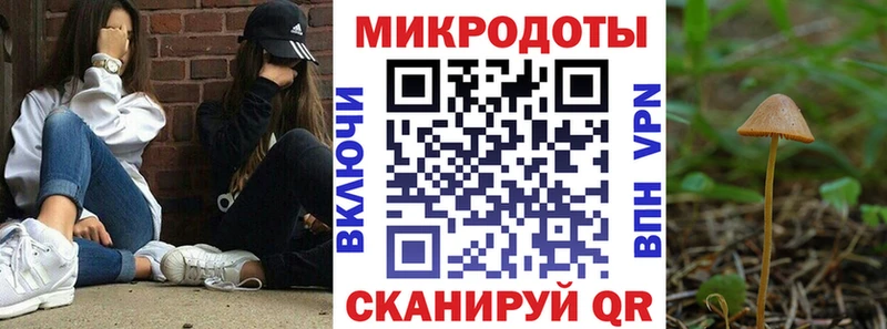 Галлюциногенные грибы GOLDEN TEACHER  магазин  наркотиков  Череповец 